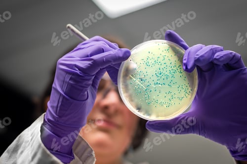 Preview: Microbiome research in microbiology laboratory