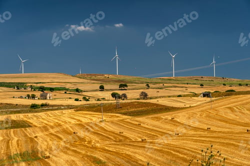 Preview: Rural landscape in Apulia at summer