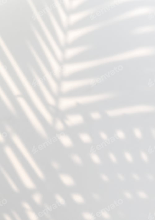 Preview: Tropical palm leaves shadow on a white wall
