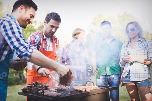 Preview: Friends having a barbecue party in nature