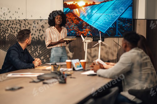 Preview: Interracial engineer with solar panels having seminar with experts.
