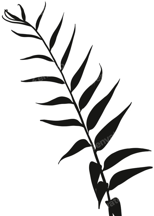 Preview: Shadow Leaves silhouette on white background, Tropical branch Leaf Overlay