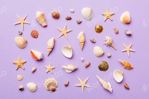 Aperçu: Concept estival Composition plate avec une belle étoile de mer