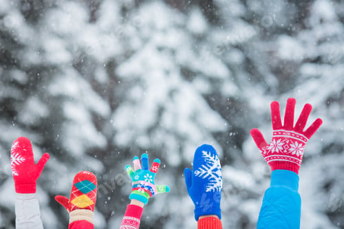 Preview: Family in winter park