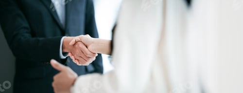 Preview: Business people making handshake with partner, greeting, dealing, merger and acquisition