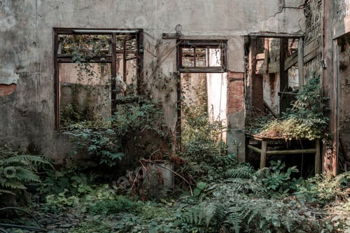 Preview: Old abandoned village house in the forest