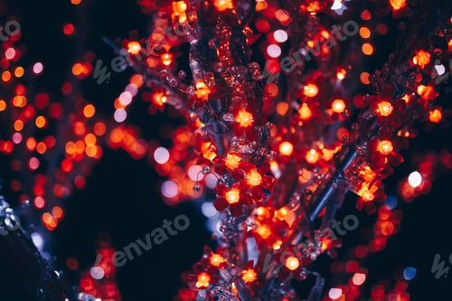 Preview: Closeup shot of red lights on the trees at Christmas