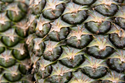 Preview: Close up image of Fresh Pineapple