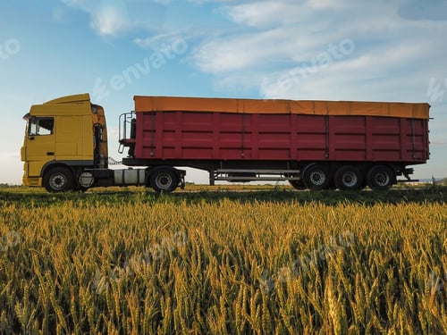 Preview: Modern bright truck on road near wheat field