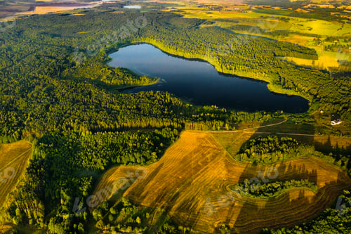 Preview: Top view of Bolta lake in the forest in the Braslav lakes National Park at dawn, the most beautiful