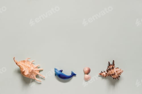 Preview: Seashells. Summertime concept. Flat lay composition with beautiful sea shells