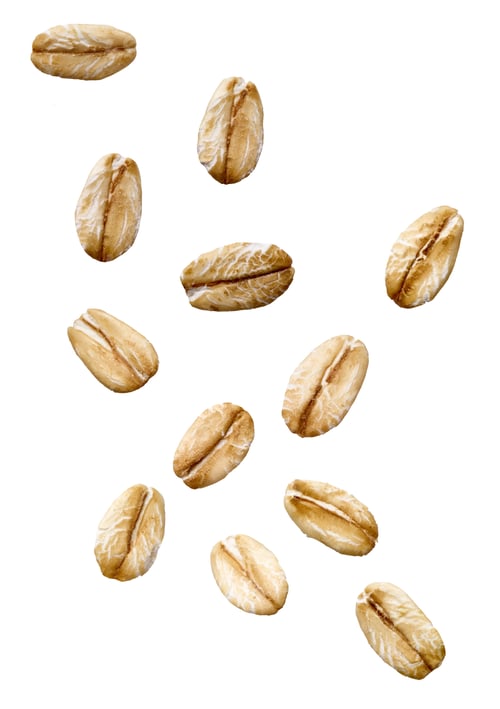 Visualização: aveia, grãos de cereais, aveia saudável, café da manhã orgânico, ingrediente em flocos, farinha dietética, farinha seca