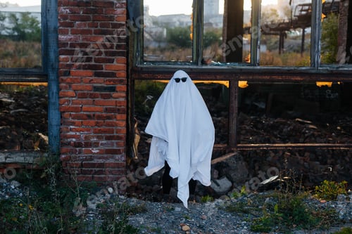 Preview: Girl in white sheet and sunglasses in a ghost costume on Halloween walks near a destroyed building