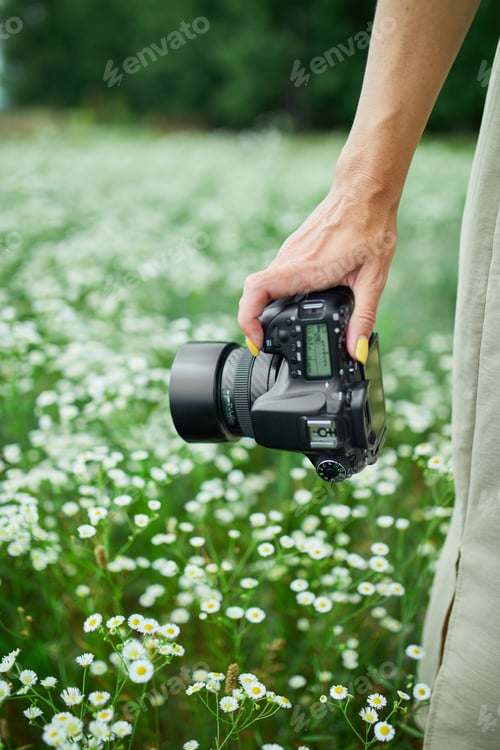 Preview: Unrecognizable woman hold digital camera in her hands on flower field landscape
