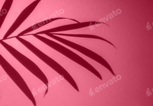 Preview: Shadow from Palm tropical Leaves monstera in light, Viva Magenta color