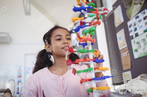 Preview: Curious elementary student looking at model