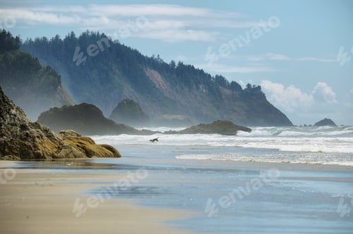 Preview: View of wild beach in Oregon