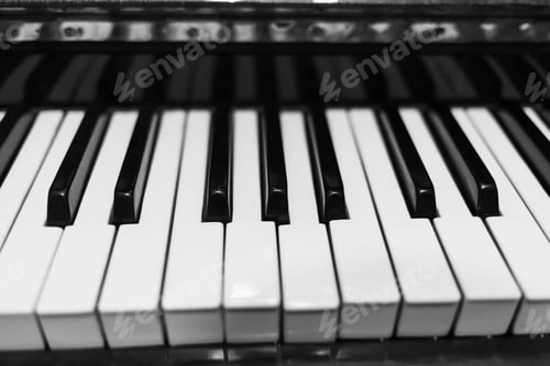 Preview: Piano keys closeup. Musical instrument in black and white photo.