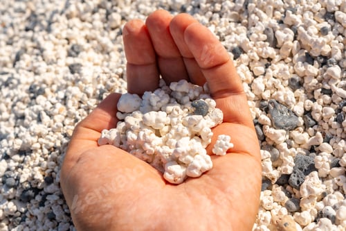 Preview: Popcorn Beach near the town of Corralejo, north of the island of Fuerteventura