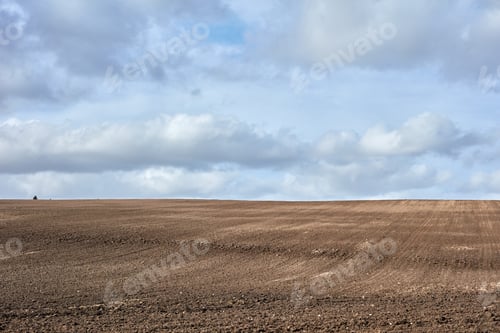 Preview: Early springtime in the countryside - Denmark