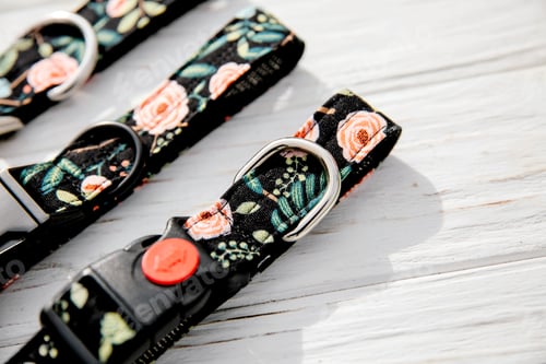 Preview: Dog Collar and Leash set. Pet Supplies and Walking Gear Collection