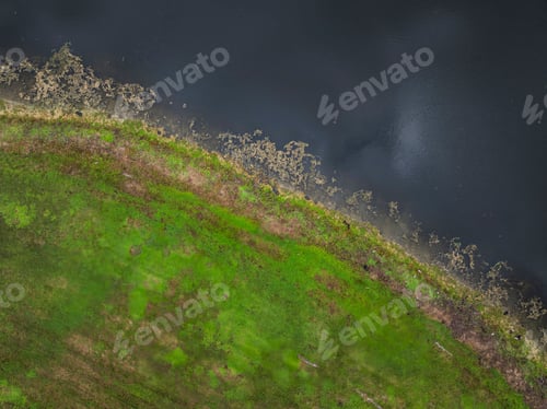 Preview: Aerial view of a pond and greenery on the shoreline. Lauderhill, Florida