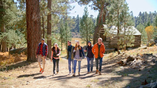 Preview: Group Of Young Friends Outdoors Enjoying Autumn Or Fall Walk Along Trail In Forest Past Log Cabin