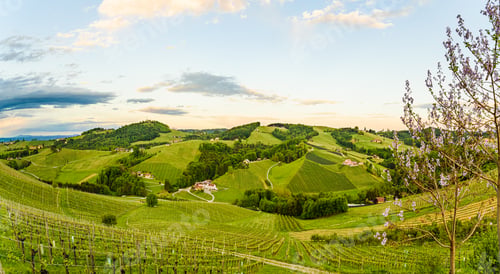Preview: View from famous wine street in south styria, Austria on tuscany like vineyard hills. Tourist