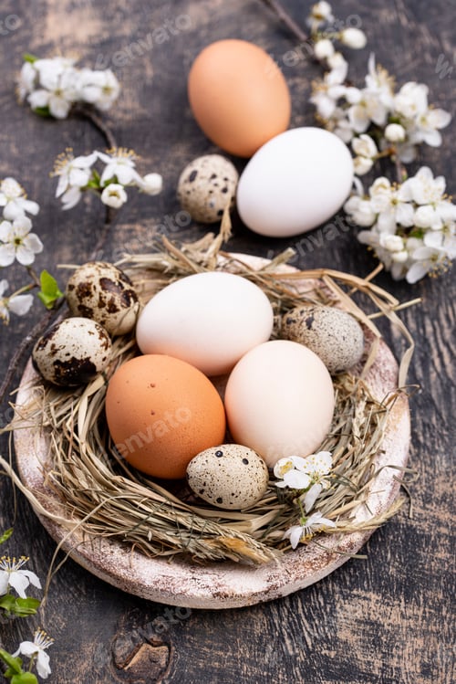 Preview: Easter composition with eggs and blooming branch