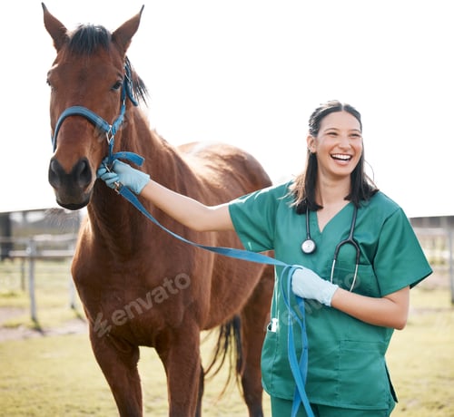 Preview: Shot of an attractive young veterinarian standing alone and attending to a horse on a farm