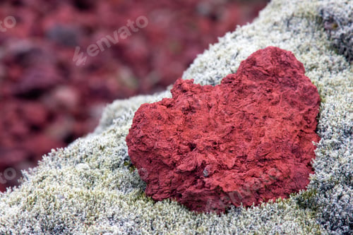 Preview: Red Lava And Moss, Iceland