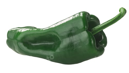 Preview: Ancho - Poblano chile pepper isolated, immature, fresh pod. Capsicum annuum fruit