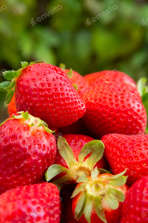 Preview: Closeup shot of fresh ripe strawberries