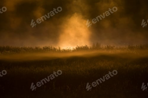 Preview: Fog and the sun rising in the sky at dawn over the landscape