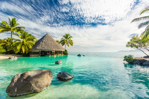 Preview: Infinity pool with palm tree rocks, Tahiti, French Polynesia