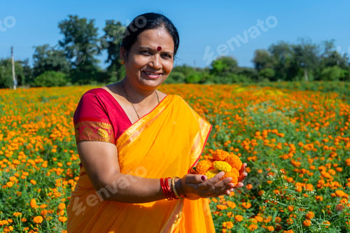 Preview: Indian woman collect marigold flower in beautiful garden.