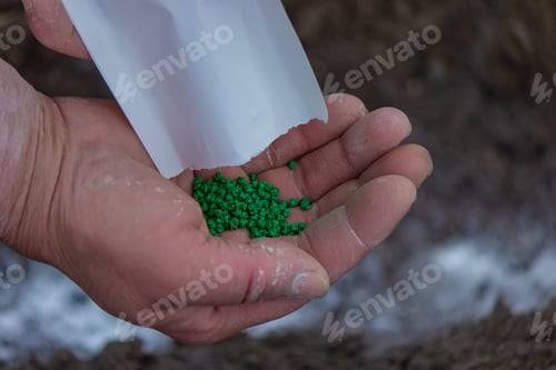 Preview: Young peasant woman planting seeds of carrots, radishes and beets in a warm black earth.