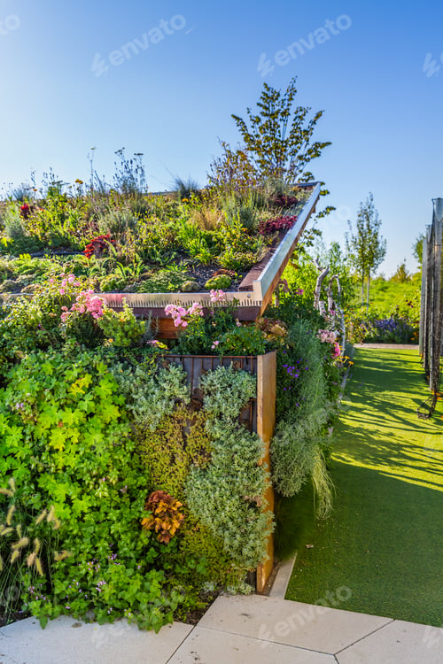 Preview: Garden shed with green roofing and vertical garden, green roofing concept