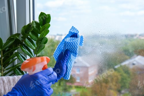 Preview: Woman in Blue Gloves Cleaning a Window Using Sprayed Liquid and micro fiber cloth wiping window from