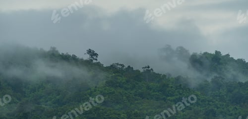 Preview: tropical mountain