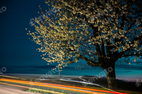 Preview: tree