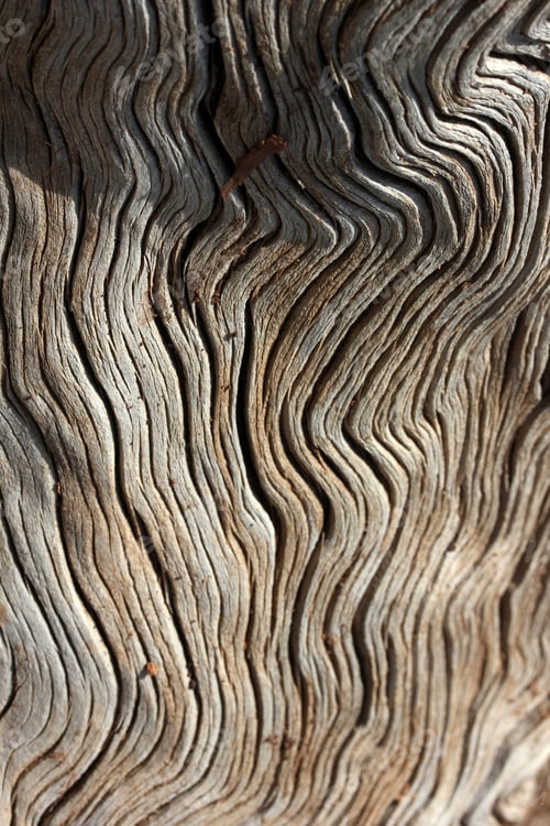 Preview: Tree
