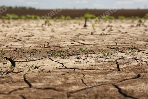 Preview: View of cracked ground surface on sunny day