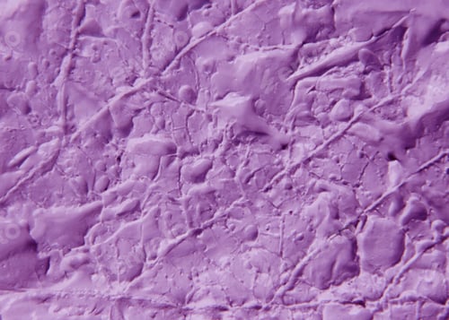 Preview: texture