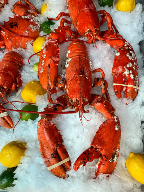 Preview: Lobster
