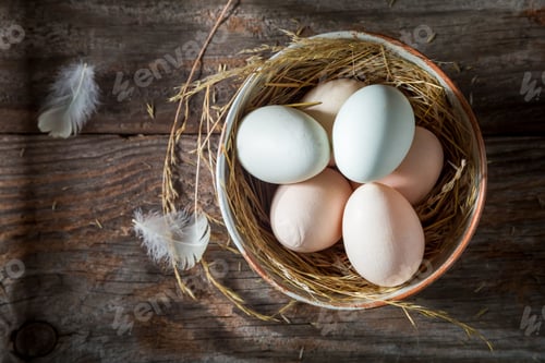Preview: Free range eggs with feathers and hay