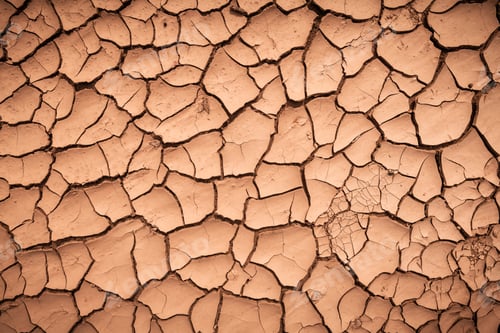 Preview: Cracked land texture close up