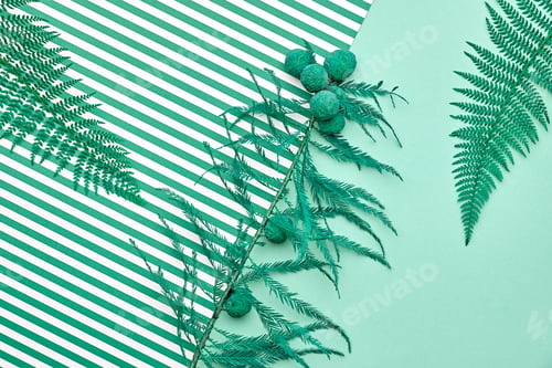 Preview: Fern
