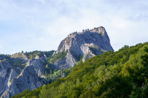 Preview: Stunning mountain landscape with lush green forests