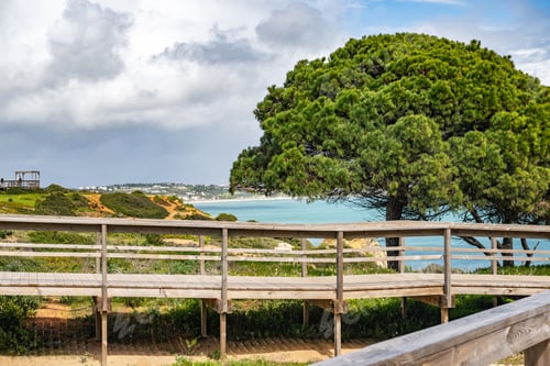 Preview: Lagos, Portugal. Coastal Landscape Showcasing Vibrant Greenery